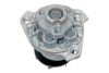 VW 022121011AX Water Pump